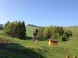 Ski resort Čierny Balog #15