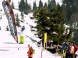 SKIPARK ERIKA KOJŠOVSKÁ HOĽA #9
