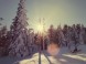 SKIPARK ERIKA KOJŠOVSKÁ HOĽA #11