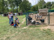 Falconry and Mini Zoo Devín #43