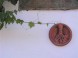 Winery Fiala #7