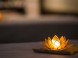 Wellness und Kongress Hotel Senec #37