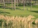 White Eurovalley Golf Park #24