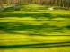 White Eurovalley Golf Park #5