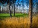 White Eurovalley Golf Park #4