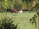 WhiteCrow Ranch #9