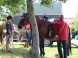 WhiteCrow Ranch #18