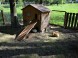 MINIZOO in the Park #8