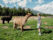Tatras Animal park