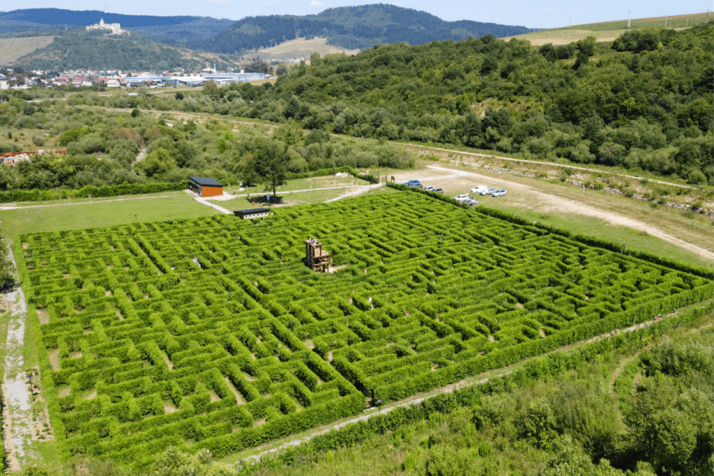 Devil's Rock Hedge Maze