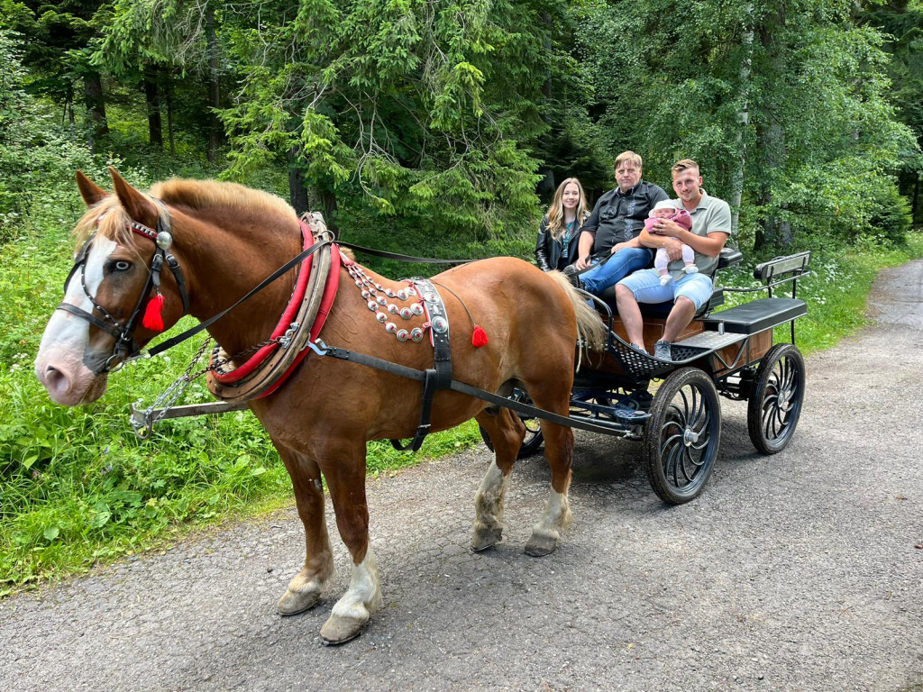 Horse-drawn carriage ride
