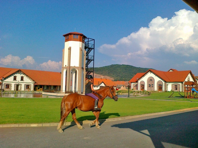 Masarykovov Dvor - Equestrian and Horseback Riding area
