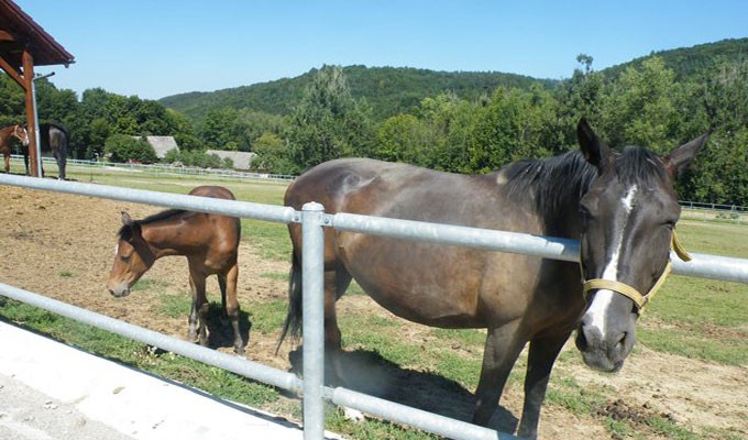 Ranch LHOTA Prejta