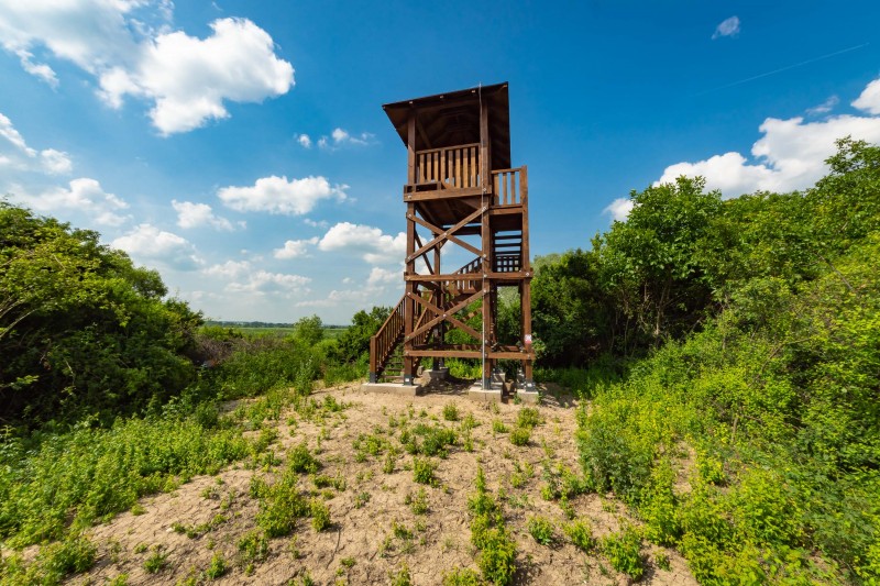 Lookout tower Žitavský luh