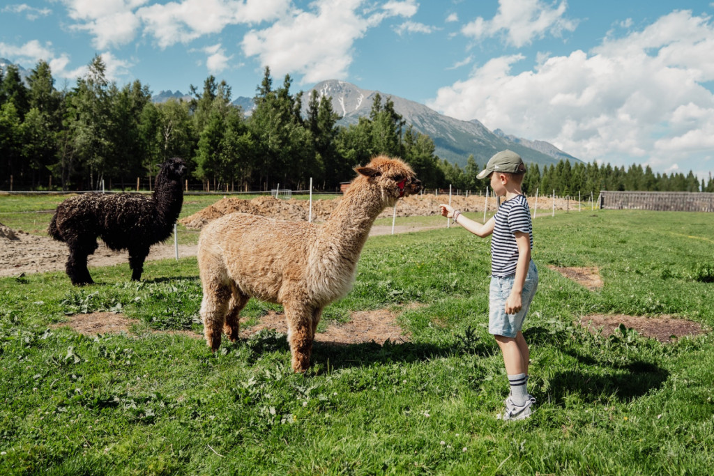 Tatras Animal park